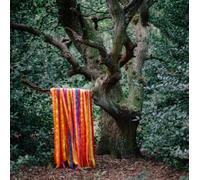 James Holden & The Animal Spirits - The Animal Spirits