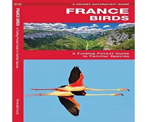 James Kavanagh France Birds Pamphlet Book James Kavanagh Multicolor