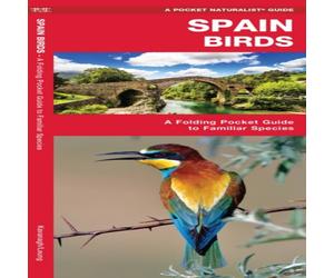 James Kavanagh Spain Birds Pamphlet Book James Kavanagh Multicolor