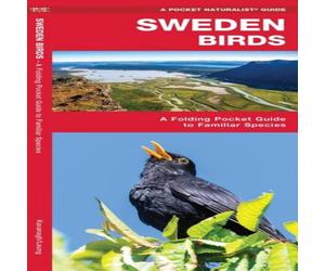 James Kavanagh Sweden Birds Pamphlet Book James Kavanagh Multicolor