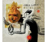 James LaBrie - 2 [Vinyl LP] [VINYL]