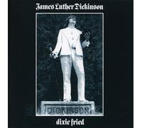 JAMES LUTHER DICKINSON/JIM DICKINSON DIXIE FRIED NEW VINYL RECORD