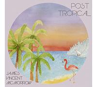James McMorr Vincent - Post Tropical