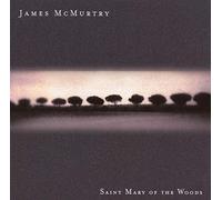James McMurtry - Saint Mary Of The Woods