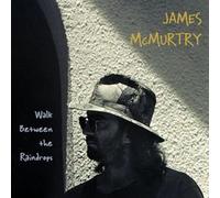 James McMurtry - Walk Between The Raindrops