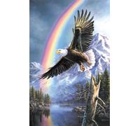 James Meger - Eagle of Promise