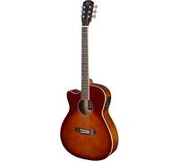 JAMES NELIGAN E/A AUD GT CW SPRU CH.BURST LH