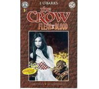 James O'Barr's The Crow: Flesh & Blood #3 (Kitchen Sink Comics)