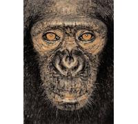 James & Other Apes by James Mollison, Jane Goodall (2005) Hardcover
