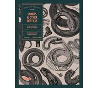 James - Snakes and Other Reptiles - New paperback or softback - X555z