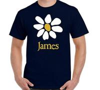 James T-Shirt Mens Band 80's 90's Alternative Rock Music Top Sit Down Laid Blue 3XL