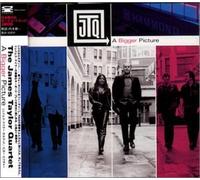 James Taylor - Bigger Picture (+Bonus)