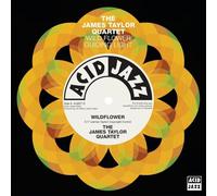 James Taylor Quartet - Wildflower/Guiding Light [VINYL]