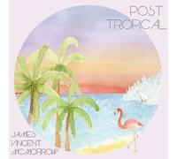 James Vincent McMorrow - Post Tropical [LP] [VINYL]