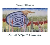 James Walton Snail Mail Cursive Paperback Book James Walton Multicolor