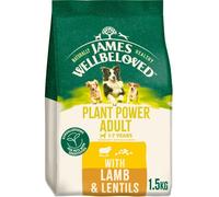James Wellbeloved Adult Dog Hypoallergenic Plant Power Lamb & Lentils - 1.5kg