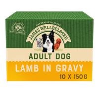 James Wellbeloved Adult Lamb in Gravy 10 Pouches, Hypoallergenic Wet Dog Food, Pack of 1 (10x150 g)