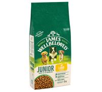 Jwb Junior Dog Lamb & Rice Kibble 15kg