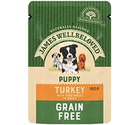 James Wellbeloved Junior Grain-Free Turkey in Gravy 12 Pouches, Hypoallergenic Wet Dog Food for Puppies, Pack of 1 (12x100 g)