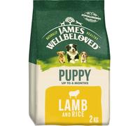 James Wellbeloved Lamb & Rice Puppy Dry Dog Food - 2kg