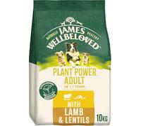 James Wellbeloved Adult Dog Hypoallergenic Plant Power Lamb & Lentils - 10kg