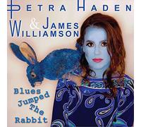 James Williamson & Petra Haden - Blues Jumped The Rabbit