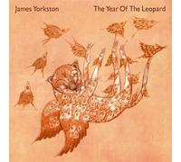 JAMES YORKSTON AND THE ATHLETES: THE YEAR OF THE LEOPARD - LP vinyl