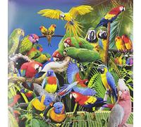 Jameszoo - Guanyin Psittacines EP [VINYL]