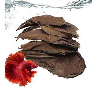 jamgeery Terminalia Catappa Leaves | Natural Safe Plant Toy Accessories - Betta Fish Tank Accessories - for Shrimp Guppy Frogs Outdoor Water