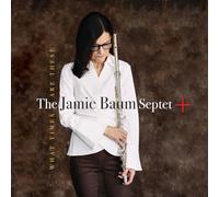 Jamie Baum - What Times Are These