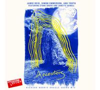 Jamie Reid, Simon Emmerson, Youth - Ancestors - Yellow Vinyl 12" - New & Sealed