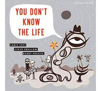 Jamie Saft, Steve Swallow, Bobby Previte - You Don☐T Know The Life