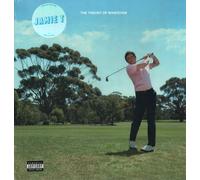 Jamie T Theory of Whatever LP vinyl Europe Polydor 2022 Limited edition 13 track