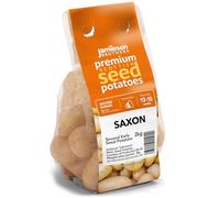 Jamieson Brothers 2kg Saxon Seed Potatoes - JBA Second Early Grow Your Own Spuds - For Chips, Mashing, Baking & Boiling - Scottish-Grown & Ready to Plant in Pots, Gardens & Allotments