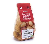 Jamieson Brothers 2kg Winston Seed Potatoes - JBA First Early Grow Your Own Spuds - Great For Boiling, Baking & Mashing - Scottish-Grown & Ready to Plant in Pots, Gardens & Allotments
