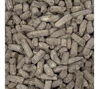 Jammie Chocolate Nibbles LARGE RETAIL Sweet Shop Jar by The Gourmet Sweet Company