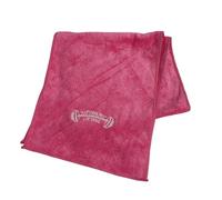 JAMNGHB Breathable Quick Drying Athletic Towel Fitness Running Use Polyester Texture Suitable for Men and Women 25x110cm Absorbent Fitness