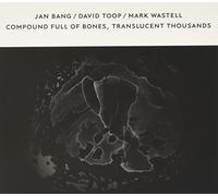 Jan Bang / David Toop / Mark Wastell - Compound Full of Bones, Translucent Thousands