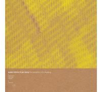 Audun Kleive The Periphery of a Building (Vinyl)