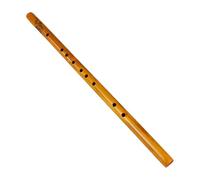Jan Jean Entry-level Short 6-hole Xiao Recorder, Beginner Vertical Bamboo Flute Instrument Brown One Size