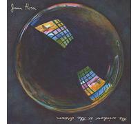 Jana Horn - The Window Is The Dream [VINYL]