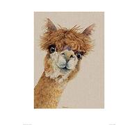 Jane Bannon Art Prints, Multi-Colour, 60 x 80 cm