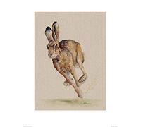 Jane Bannon Art Prints, Multi-Colour, 60 x 80 cm