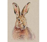 Jane Bannon Canvas, Multi-Colour, 30 x 40 cm