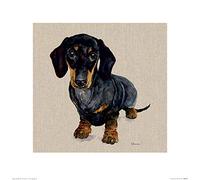 Jane Bannon (Danny 40 x 40cm Art Print