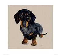 Jane Bannon (Danny 60 x 60cm Art Print