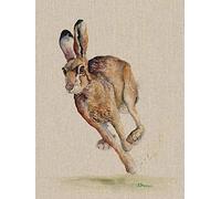 Jane Bannon (Holly 30 x 40cm Canvas