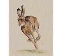 Jane Bannon (Holly 40 x 50cm Canvas