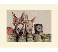 Jane Bannon (Johnny, Freckles & Halfpint 30 x 40cm Mounted Print