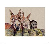 Jane Bannon (Johnny, Freckles & Halfpint 40 x 50cm Art Print